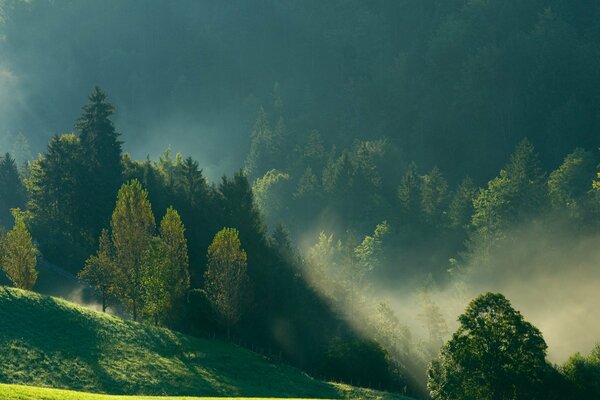 Dans un matin brumeux, les hautes montagnes sont visibles