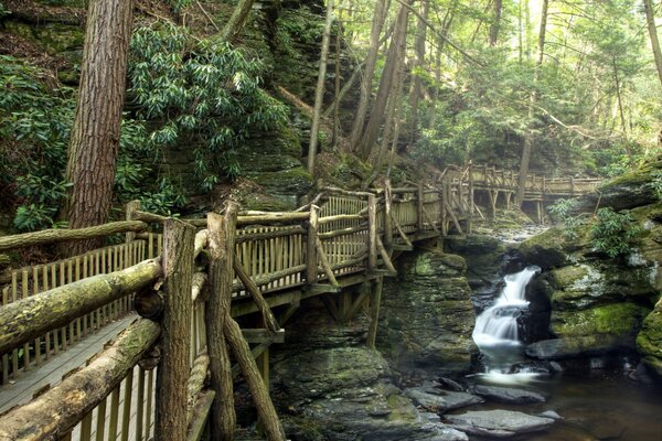 Un antico ponte sul fiume nella natura