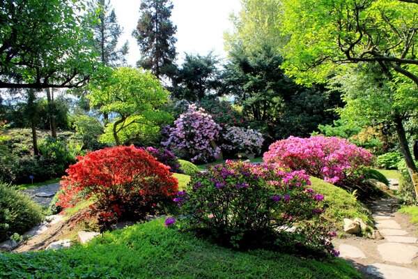 Callejón del parque con hermosas flores