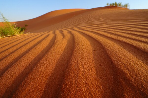 Arena amarilla en el desierto y el cielo nocturno