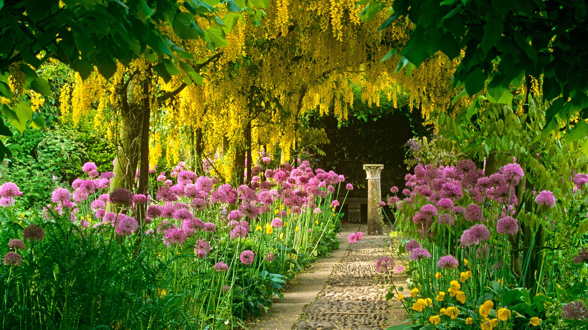 jardin fleurs acacia passerelle colonne