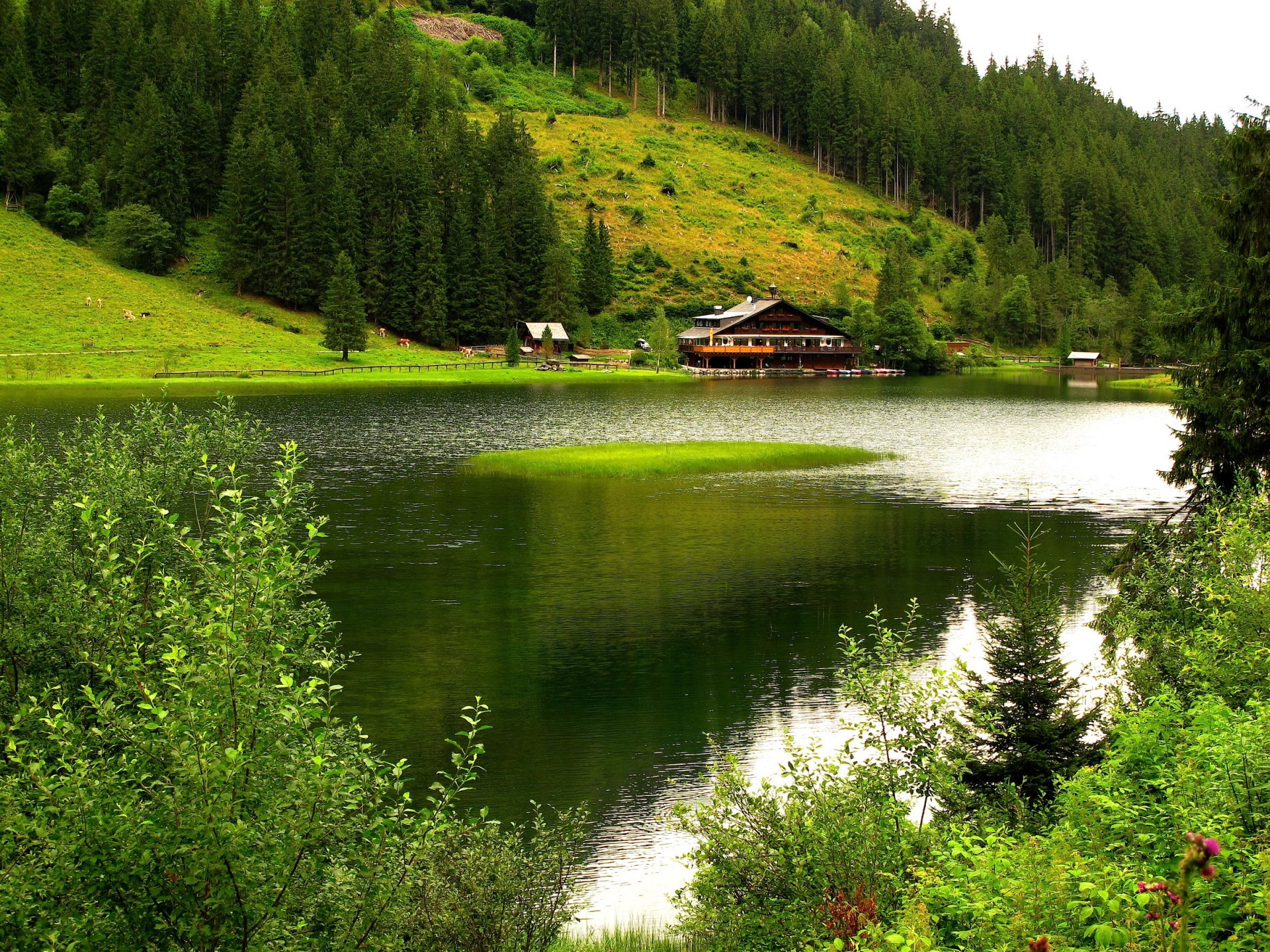 natur berge bäume fluss haus boote weide