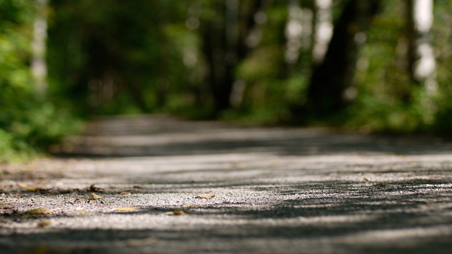 nature mise au point bokeh sentier arbres lumière mise au point 1920x1080