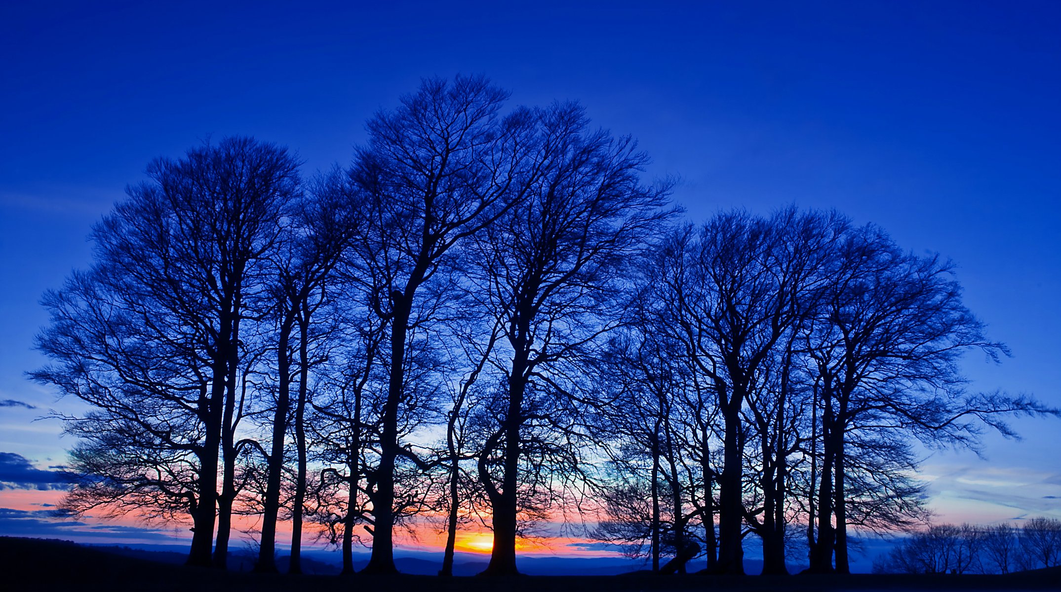 sera crepuscolo arancione tramonto blu cielo alberi campo