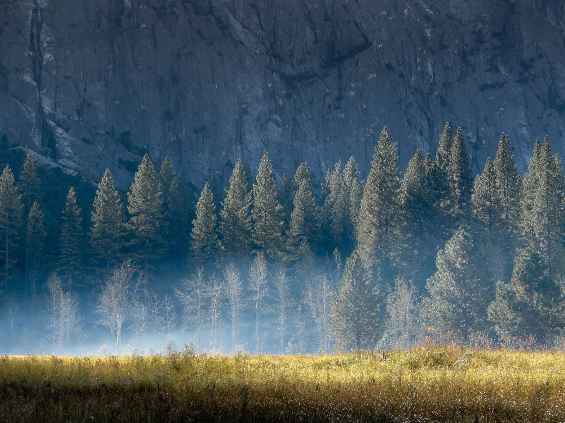 nature mountain rock tree grass summer light morning fog