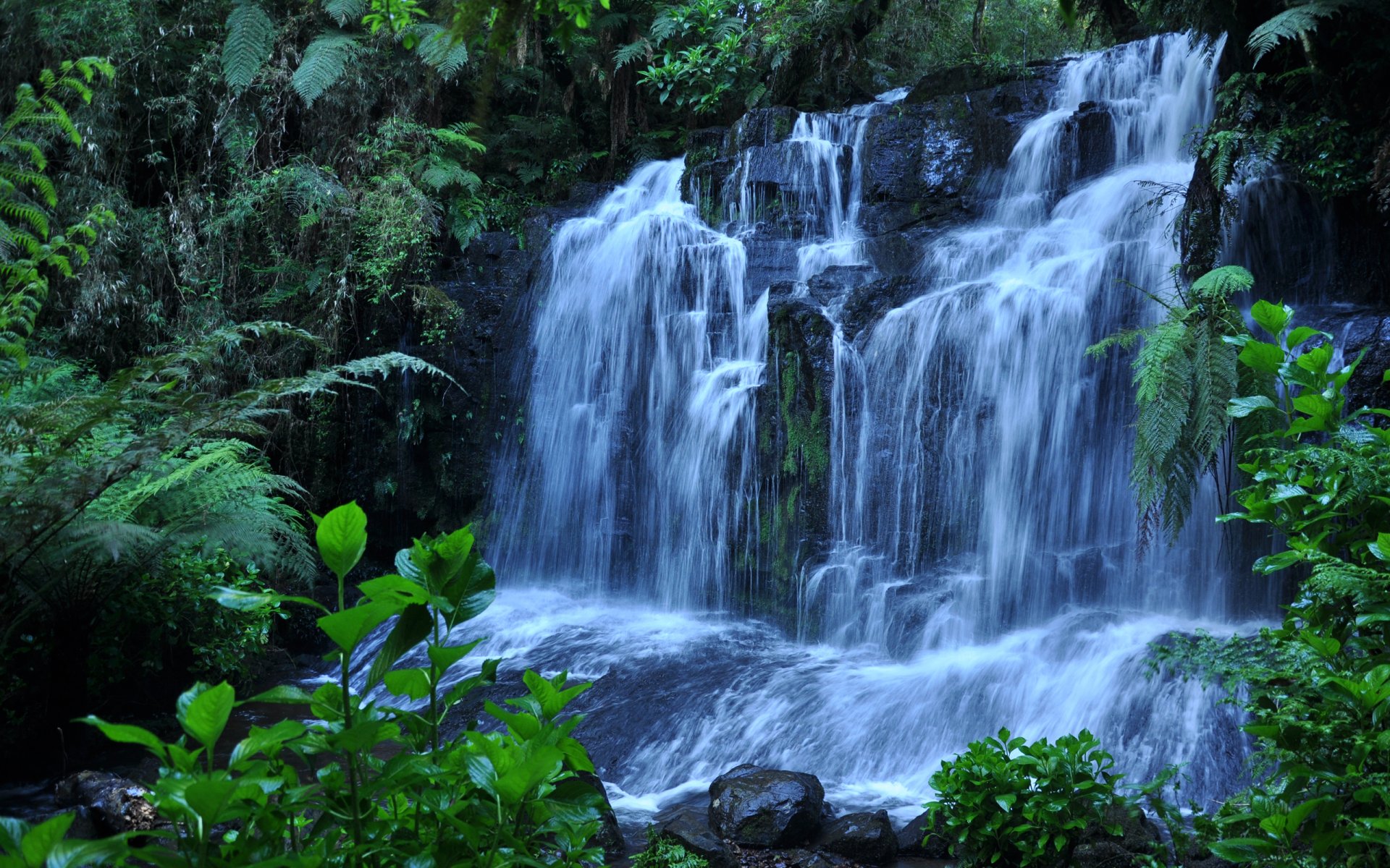 waterfall stones plants water