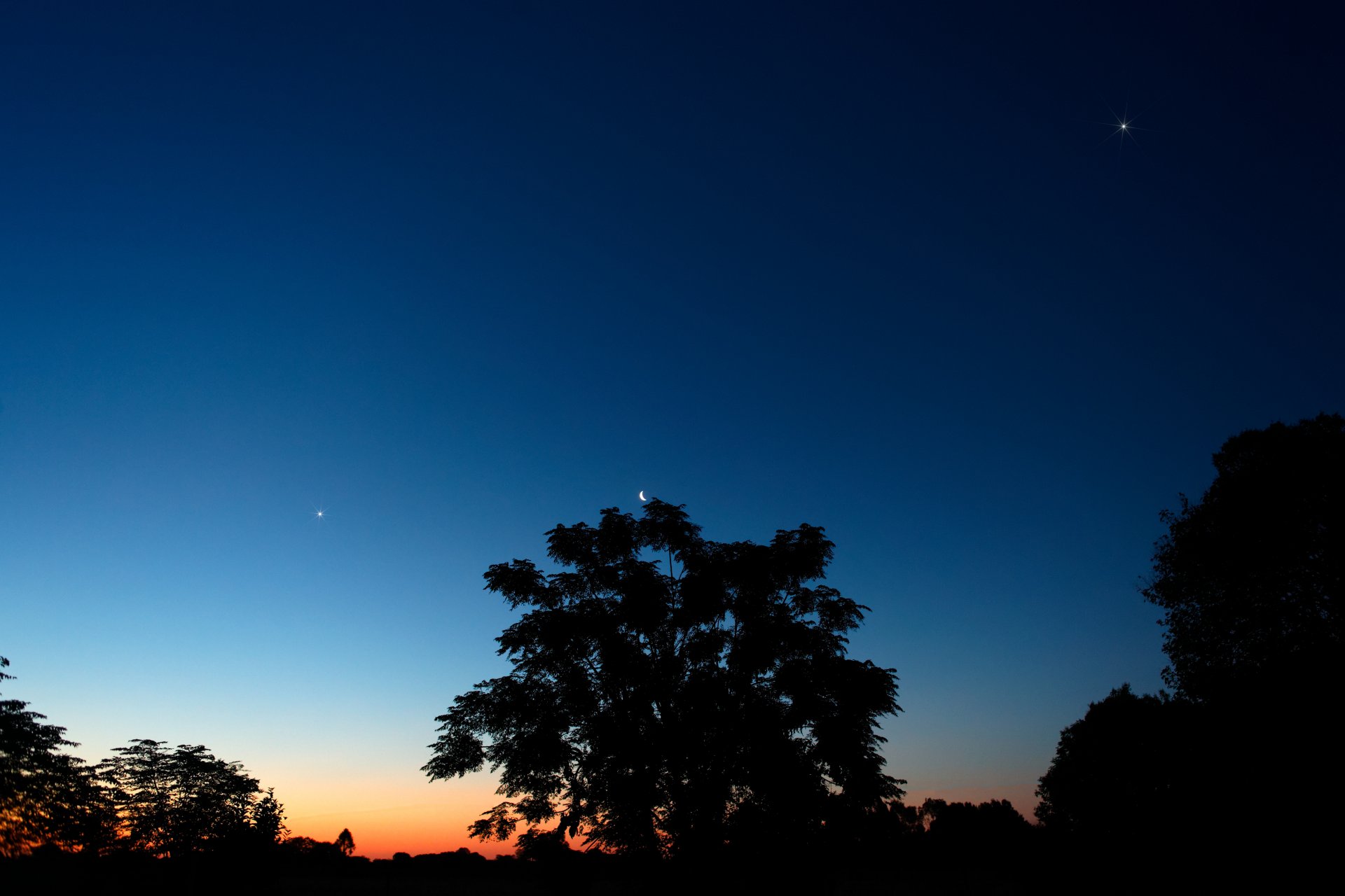 luna giove venere emisfero australe