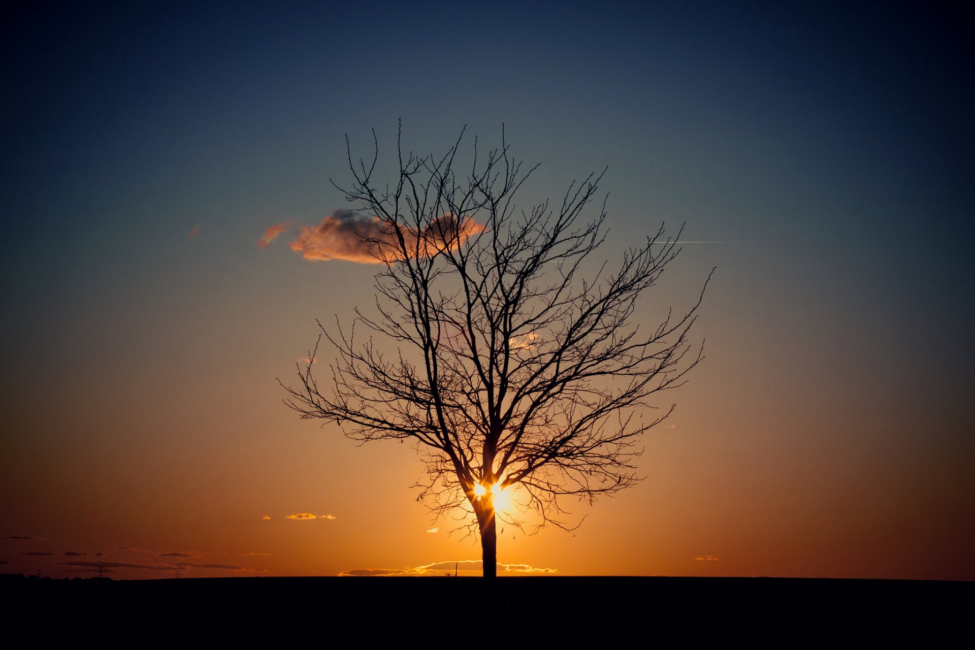 sera cielo albero sole