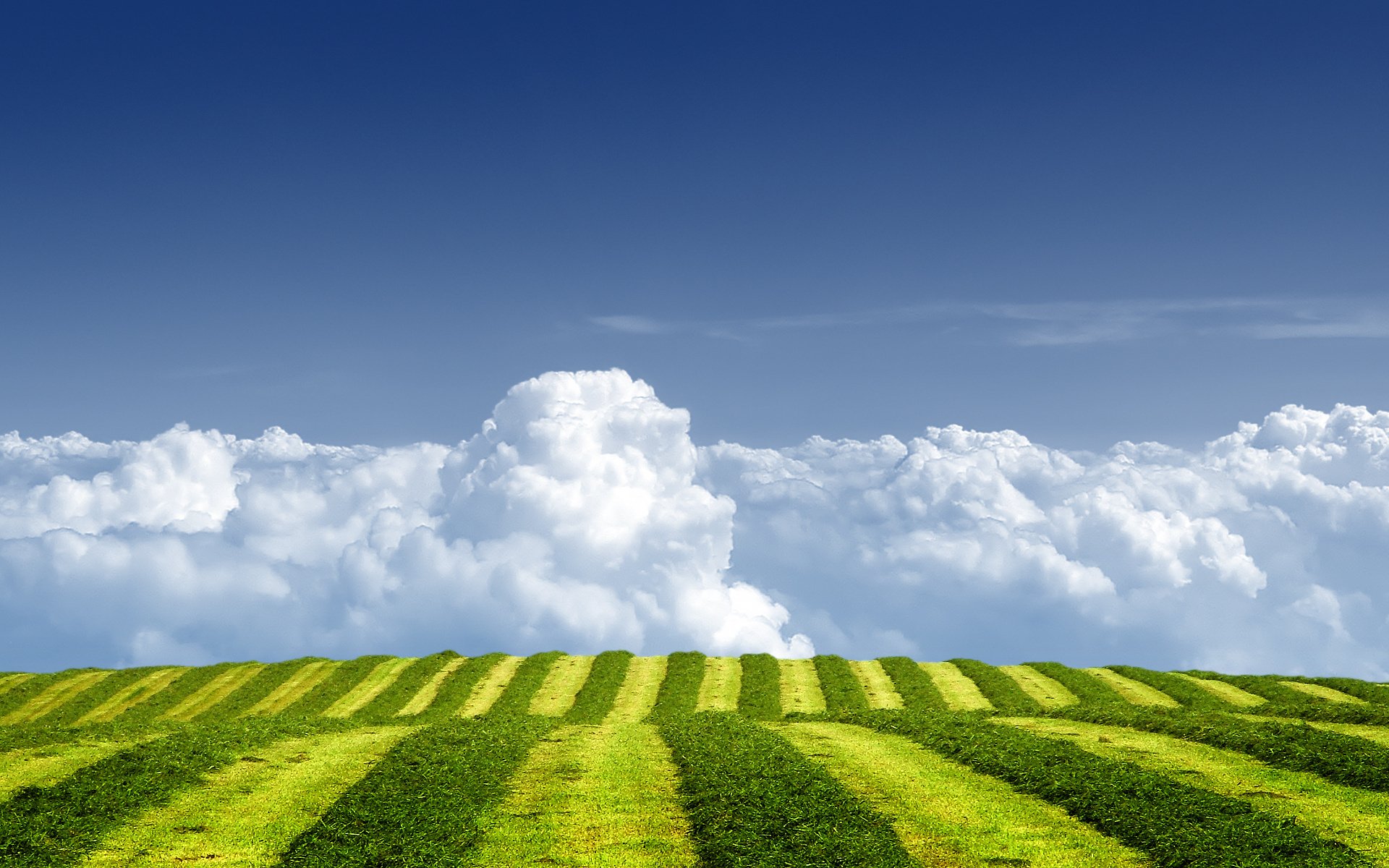 nuages herbe été champ ciel