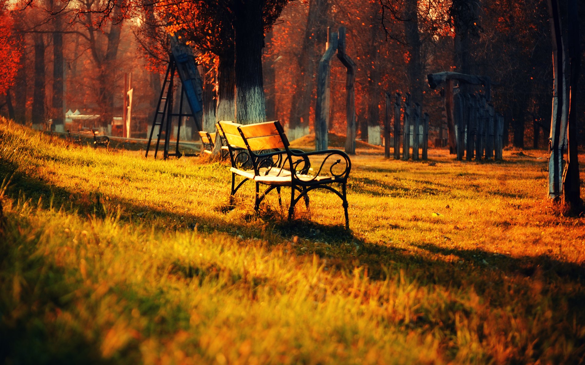 natura krajobraz park jesień ławka trawa liście drzewa światło ławka 2560x1600