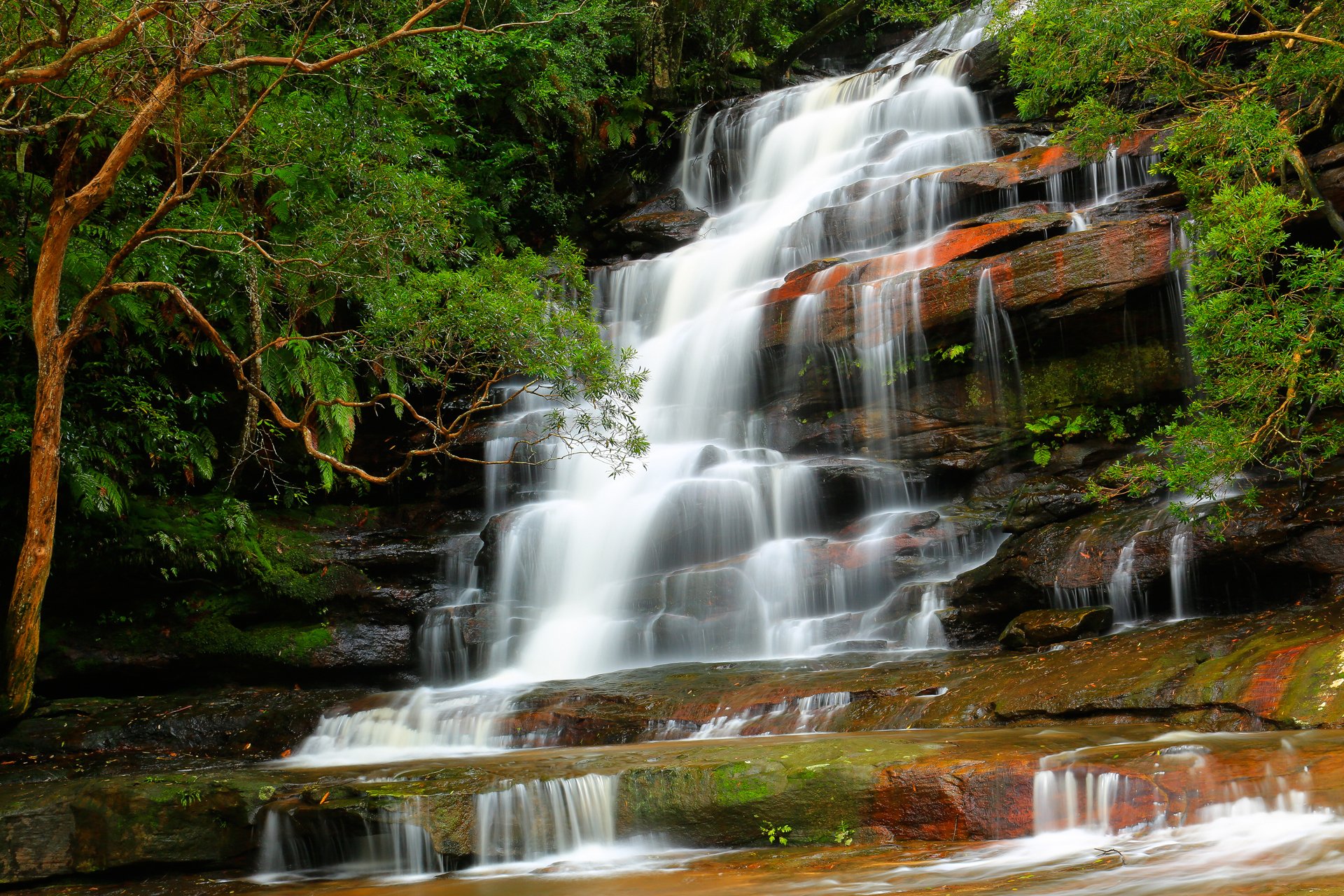 natura foresta fiume flusso cascata pietre alberi