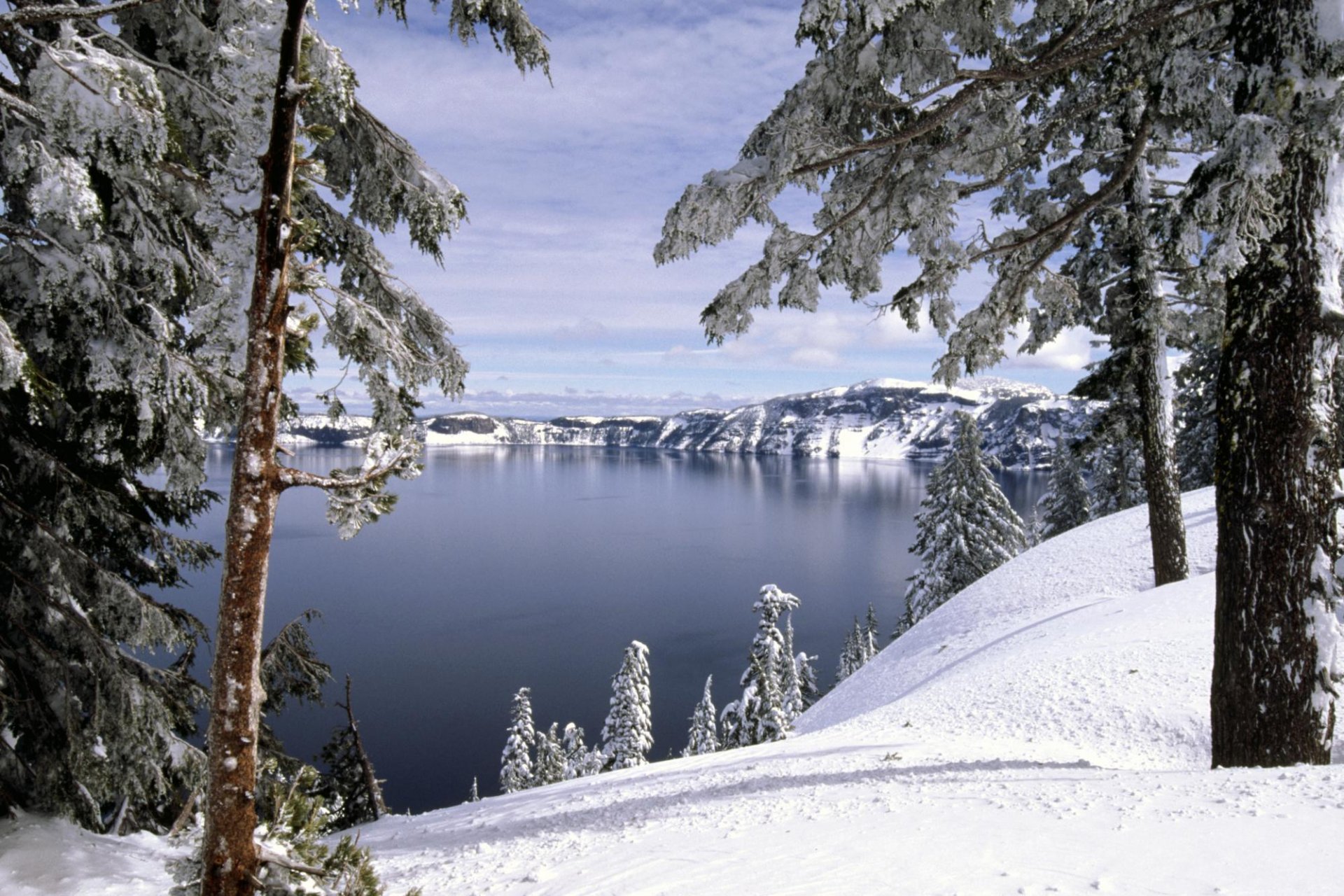 invierno nieve bosque árboles lago colinas