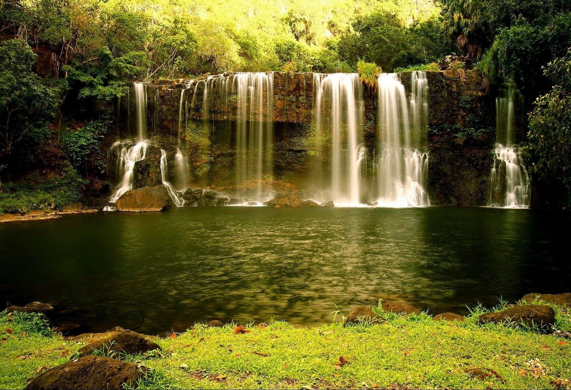 waterfall water forest nature