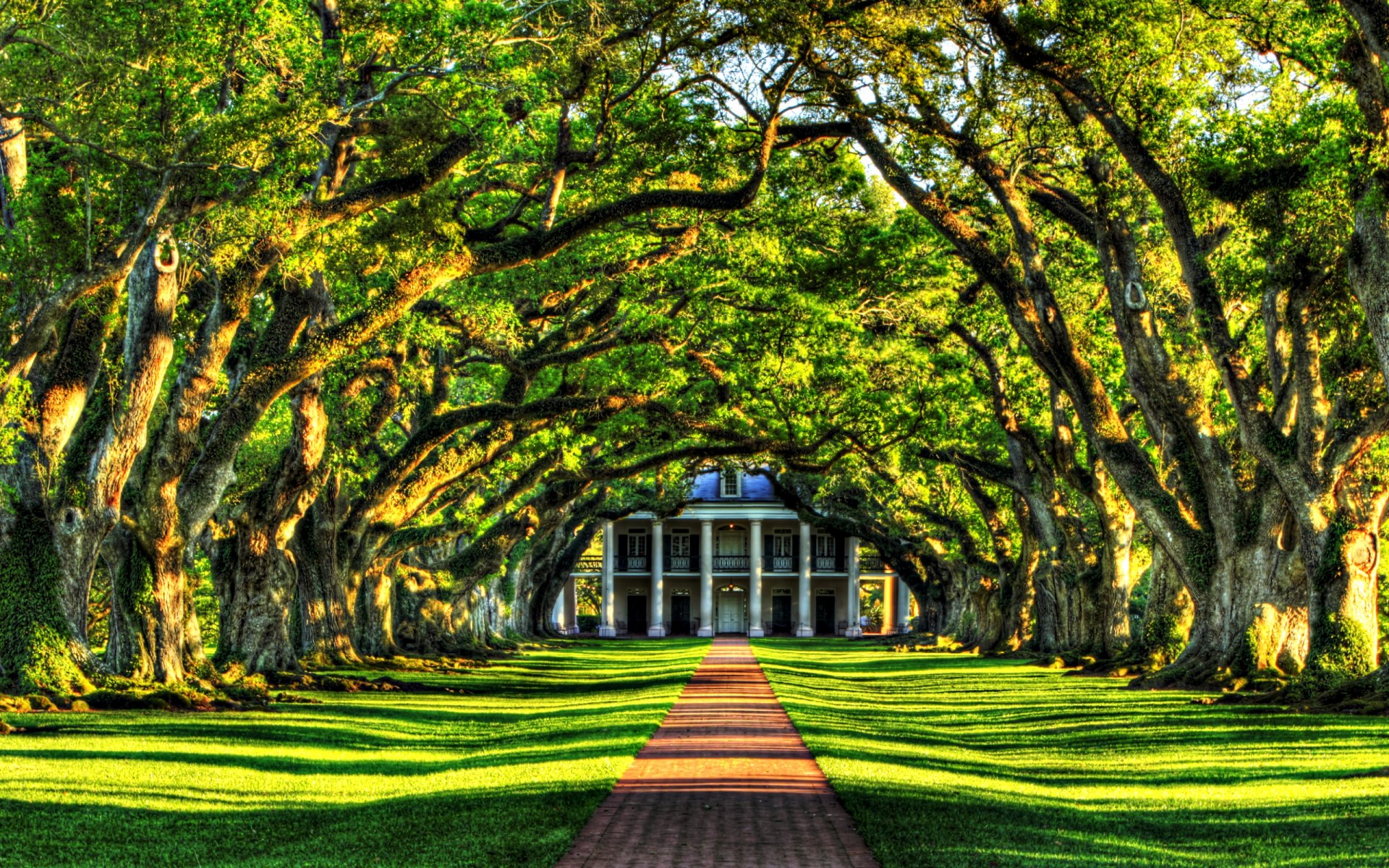 nature landscape tree grass green villa alley leave