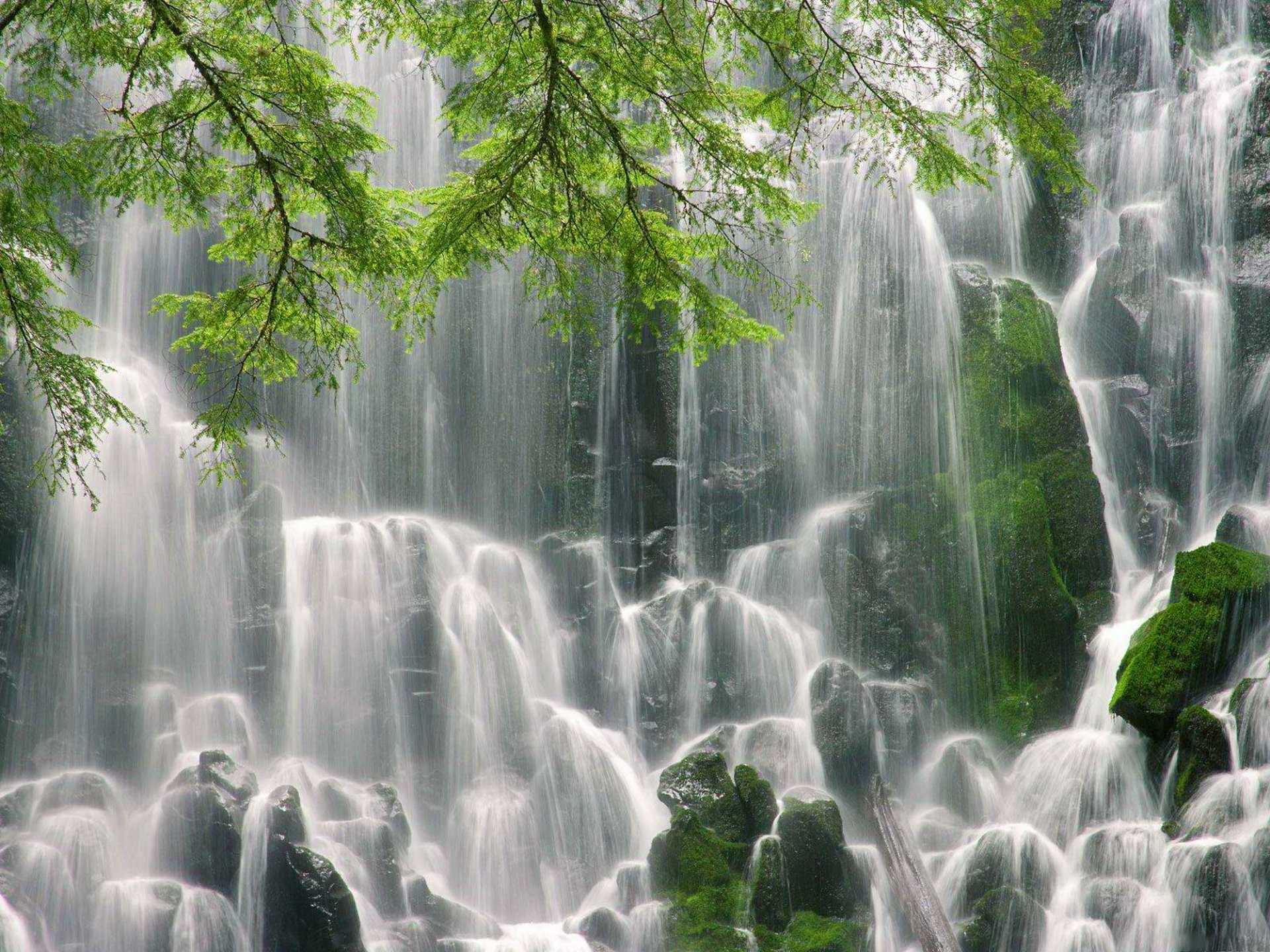 cascada de ramona origon ramas piedras musgo