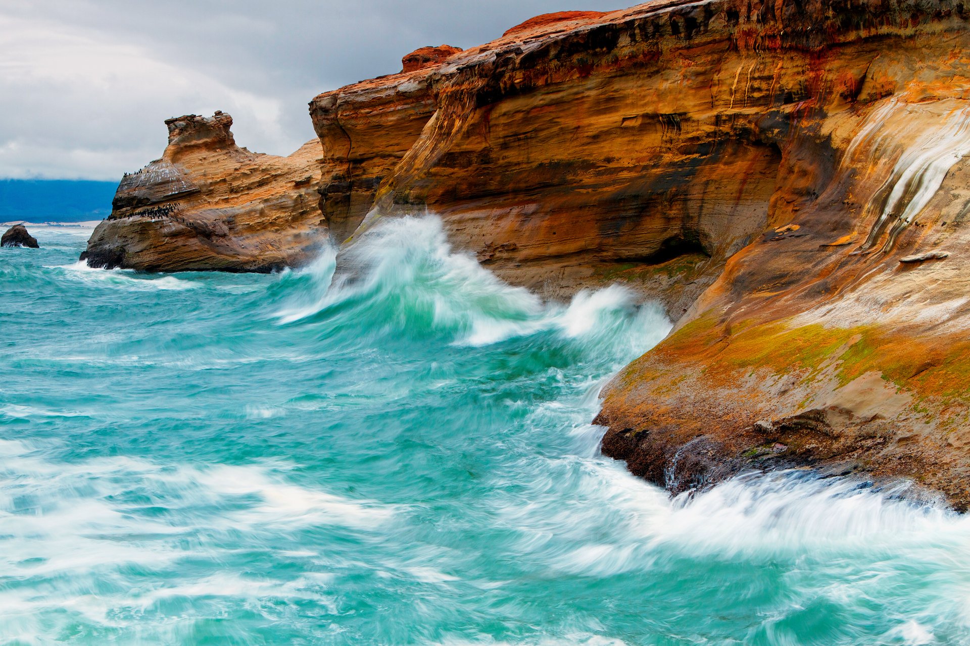 natura onde mare rocce uccelli