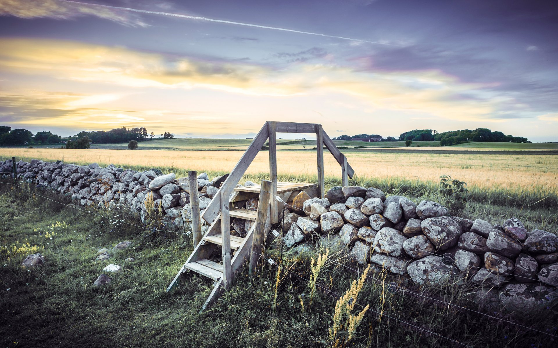 weden the field stones fencing tree wood stairs sky cloud