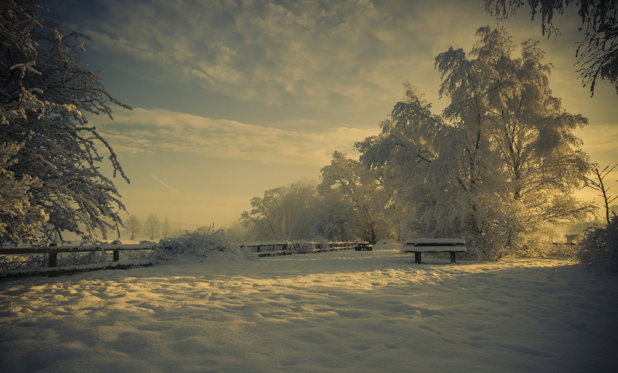 naturaleza invierno parque tienda nieve