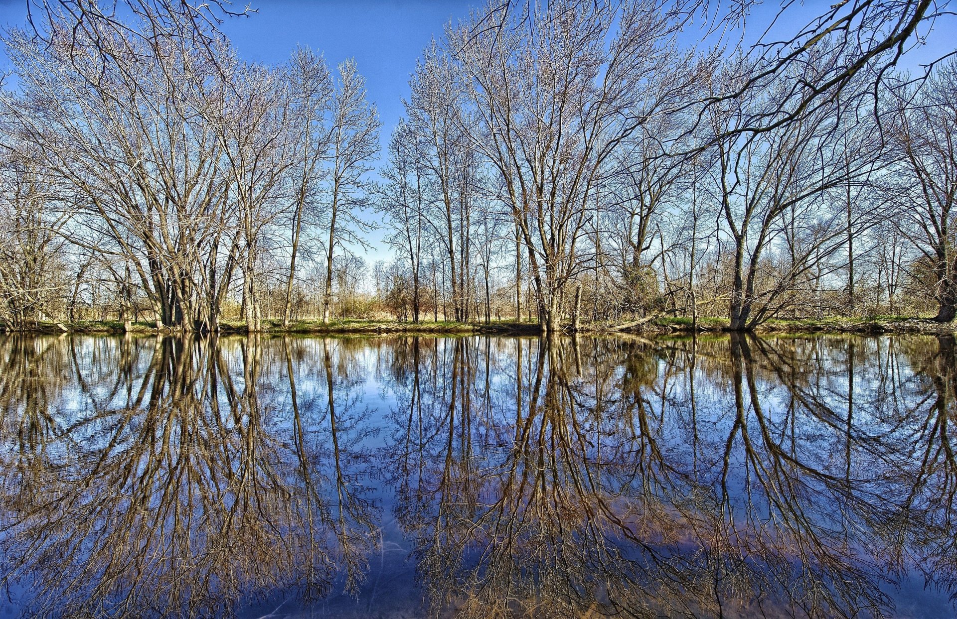 lago stagno riflessione foresta alberi rami erba cielo nuvole