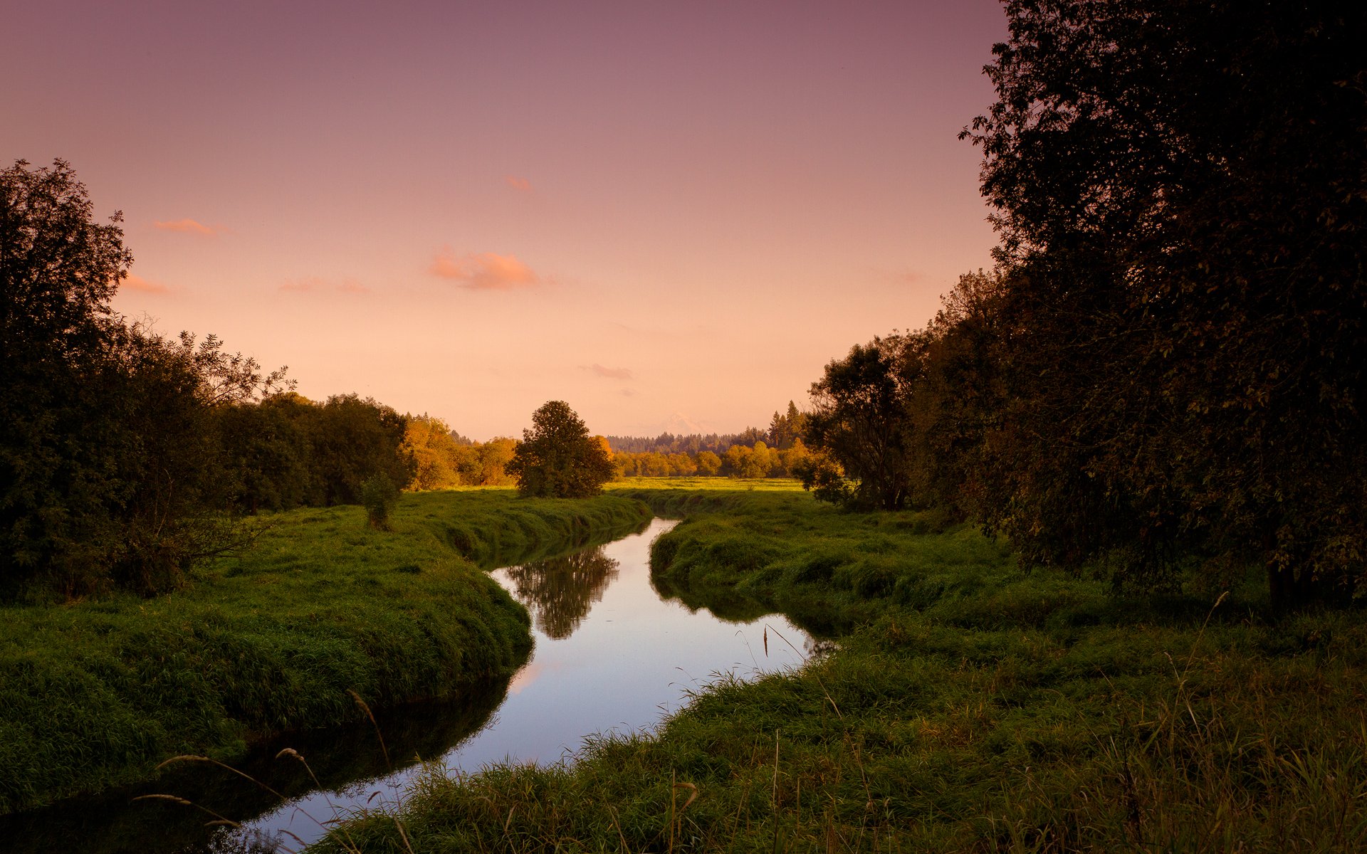 herbe arbres nature ruisseau été soirée