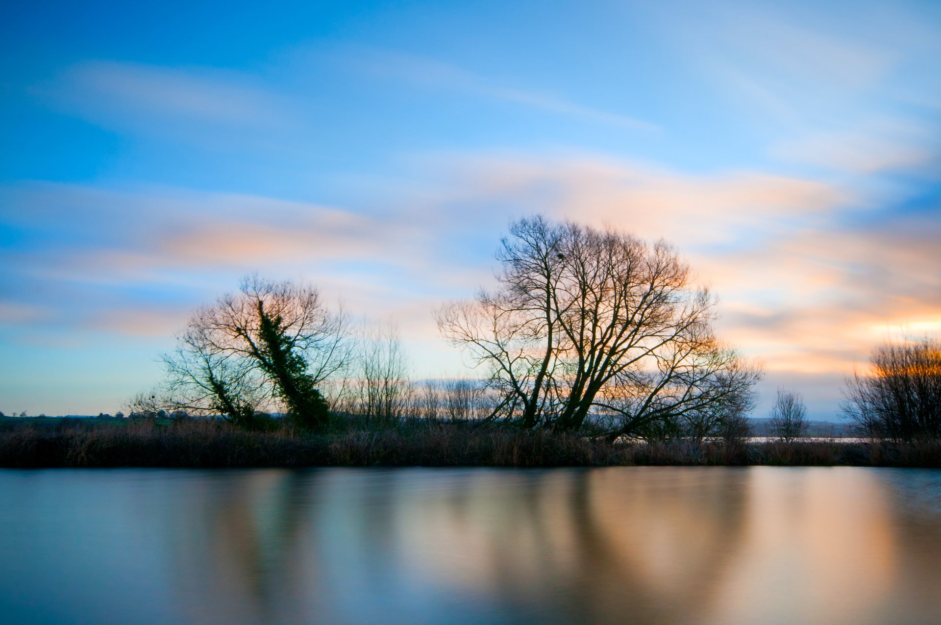 night sunset blue sky clouds tree grass beach lake surface of