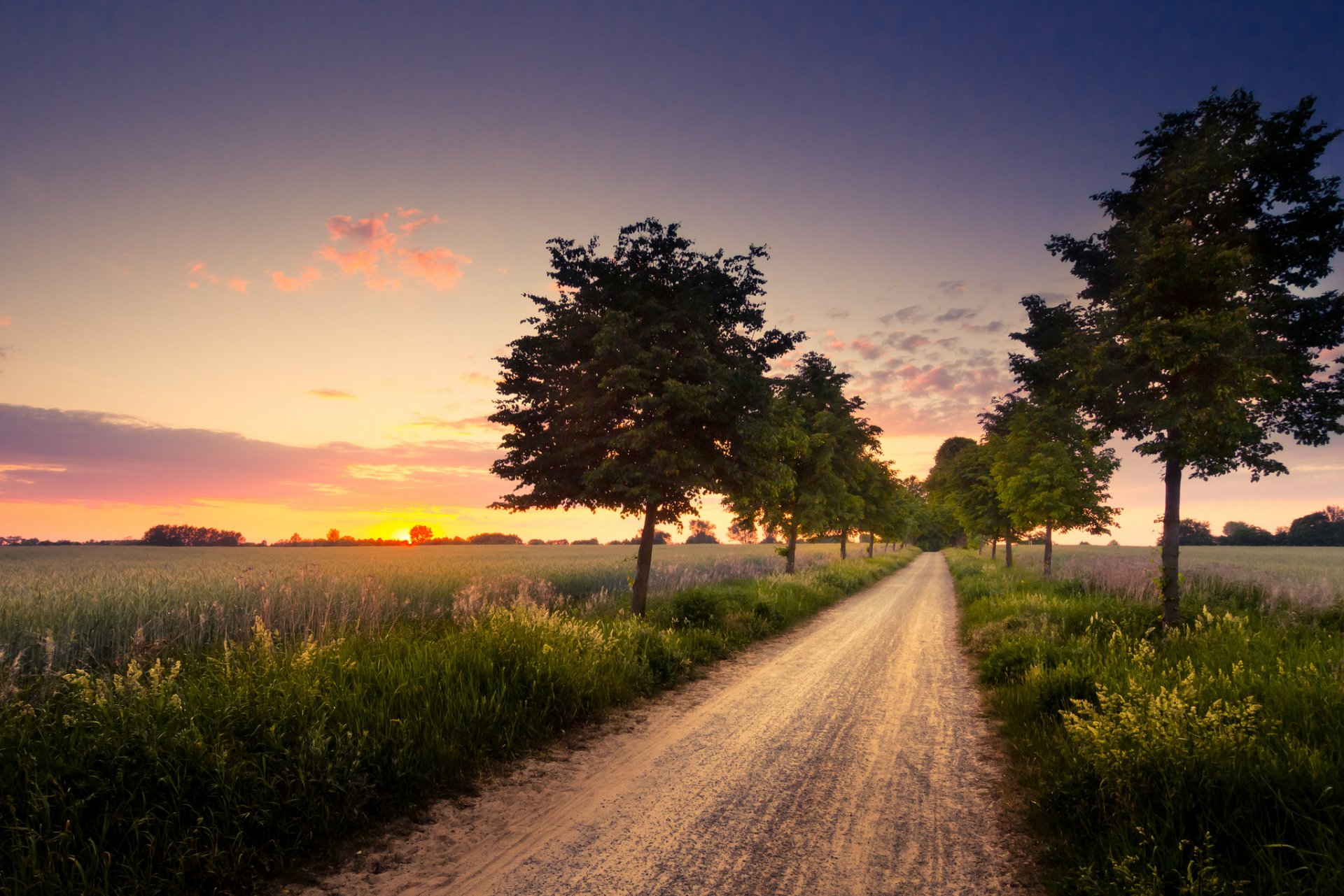 natura sera tramonto campi alberi strada