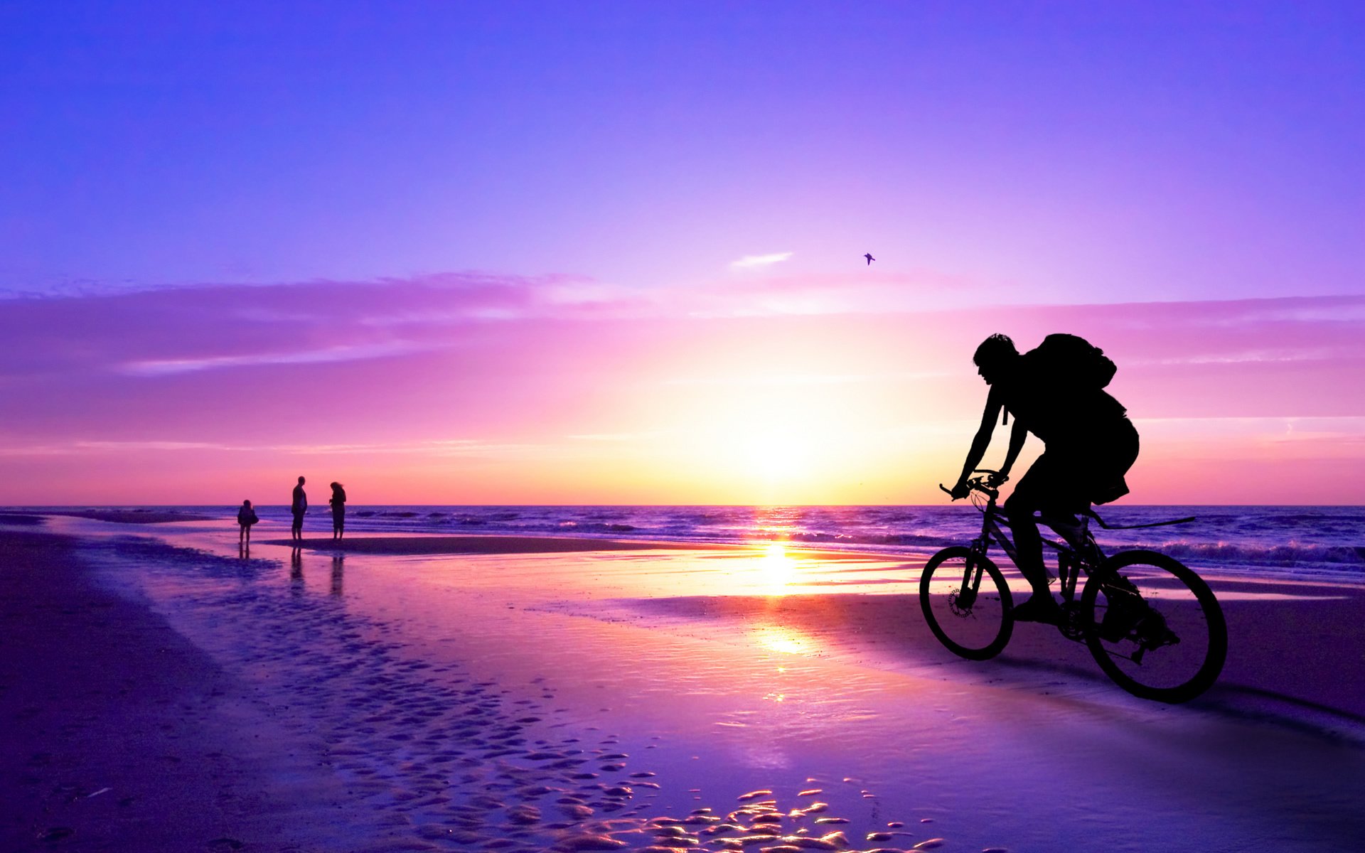 vélo homme fraîcheur marine