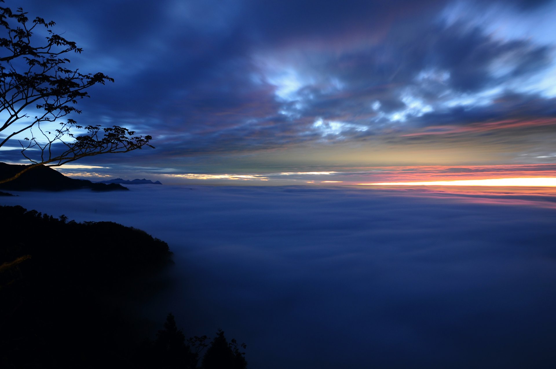 tarde puesta de sol cielo nubes niebla bruma árboles ramas