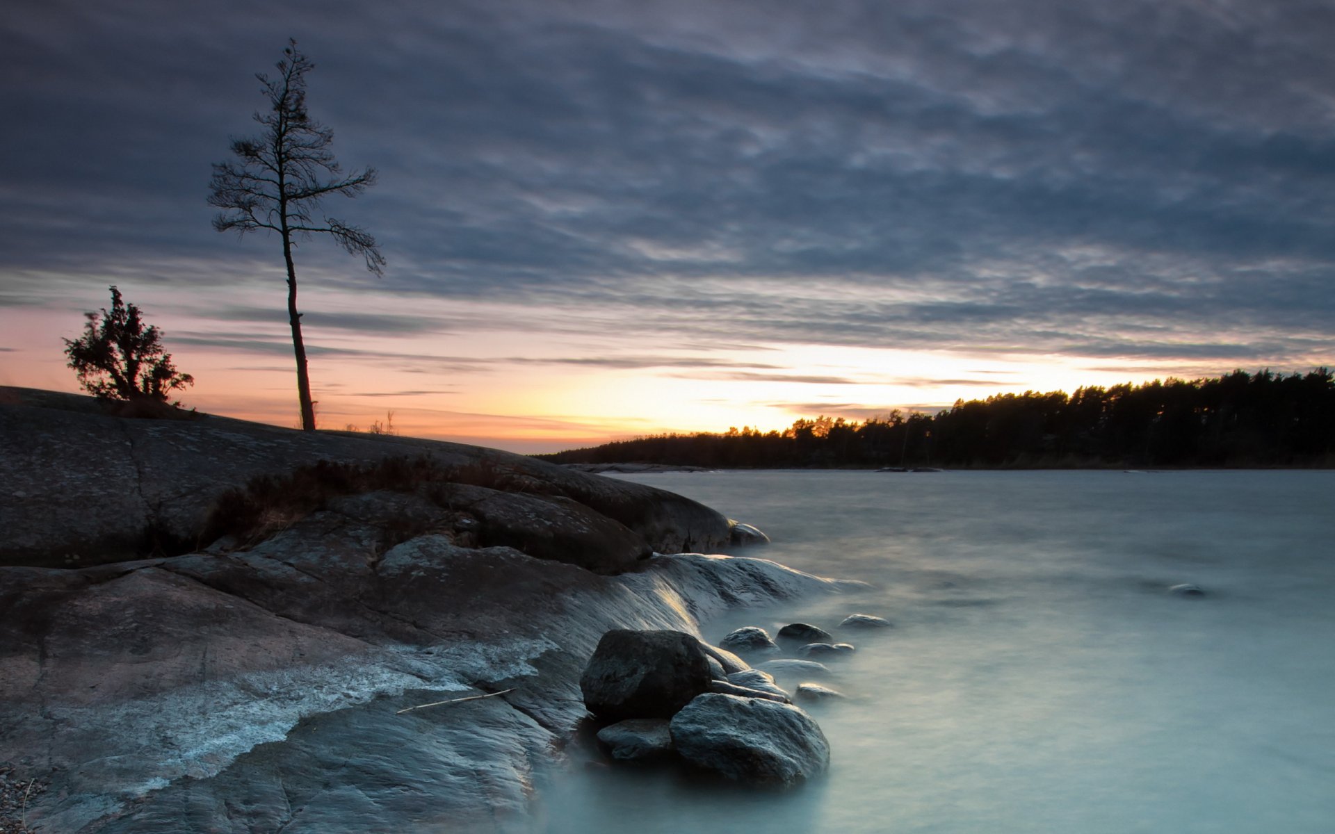 night lake tree stones nature landscape