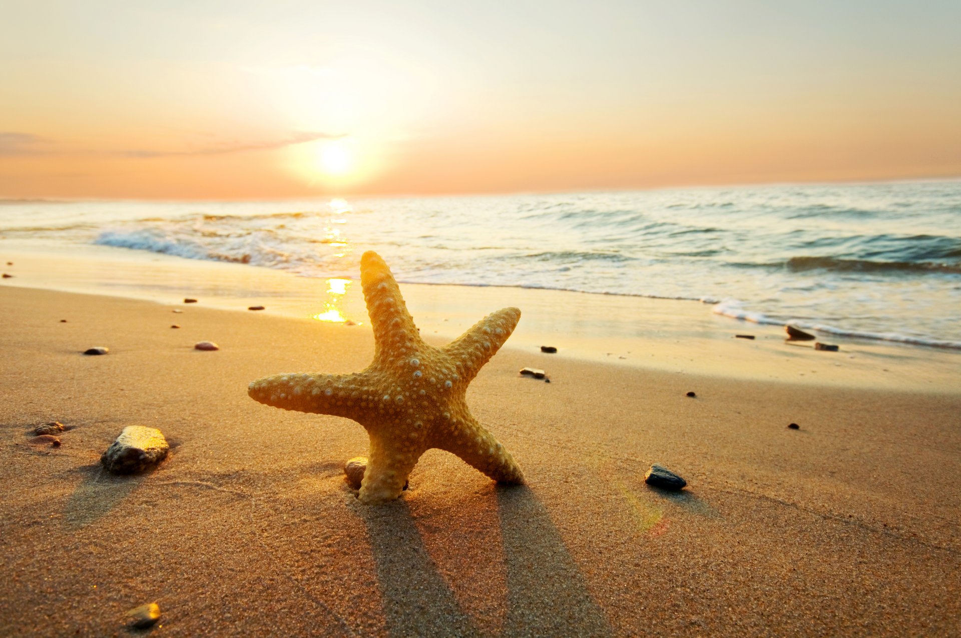 morze ocean zachód słońca plaża słońce piasek gwiazdy natura niebo chmury lato