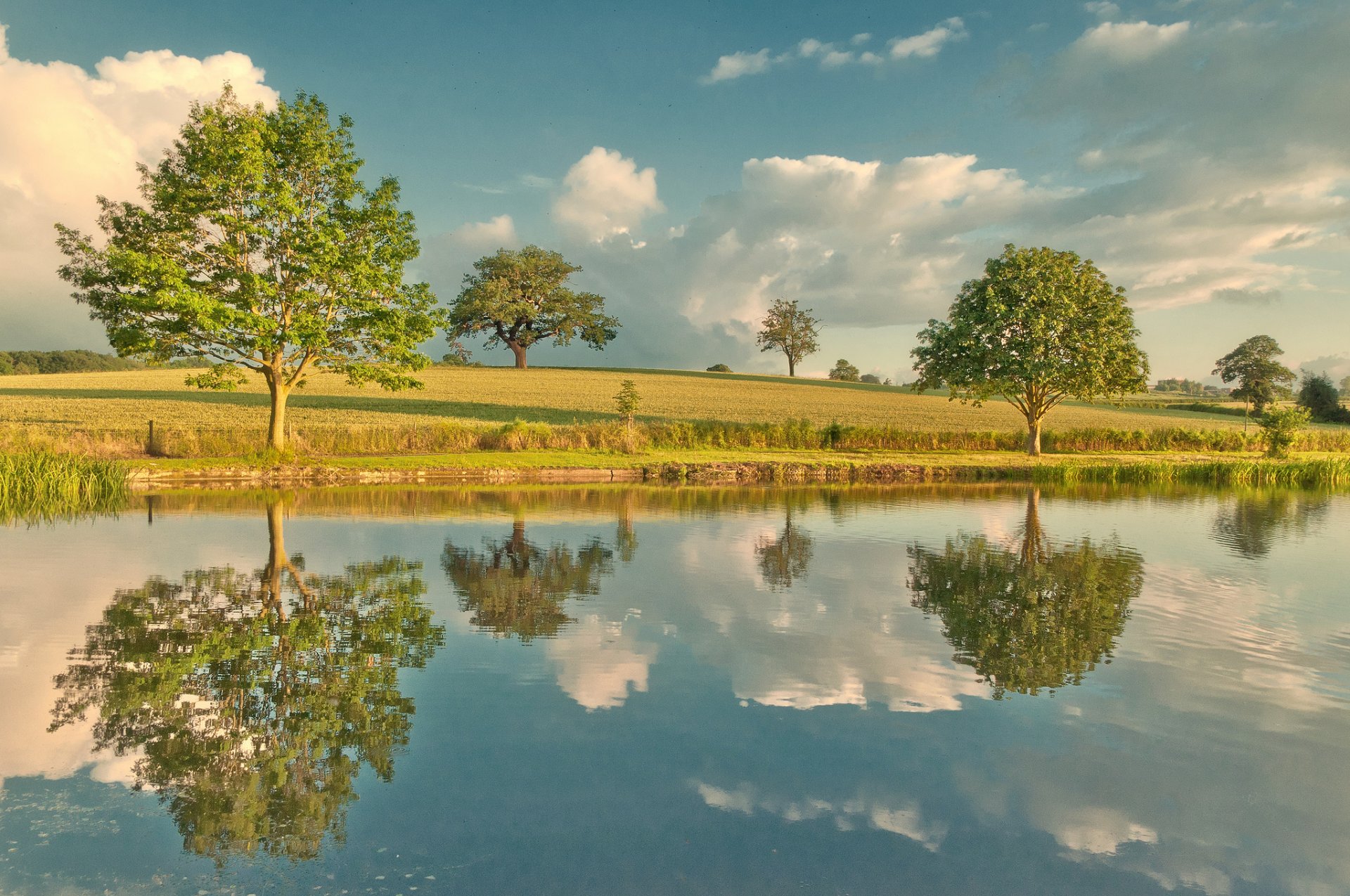 nature river sky tree reflection