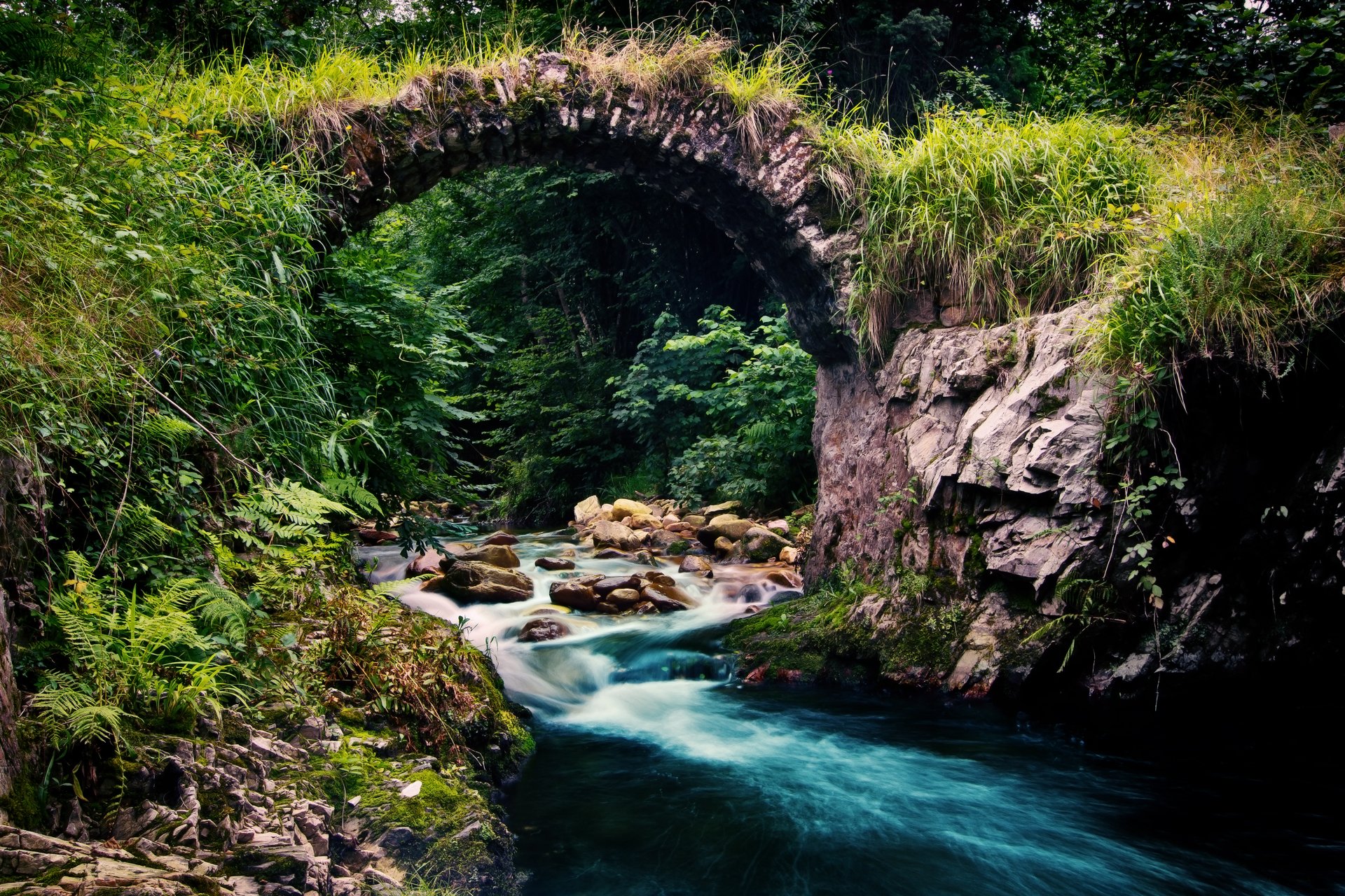 natura ponte foresta flusso fiume ruscello