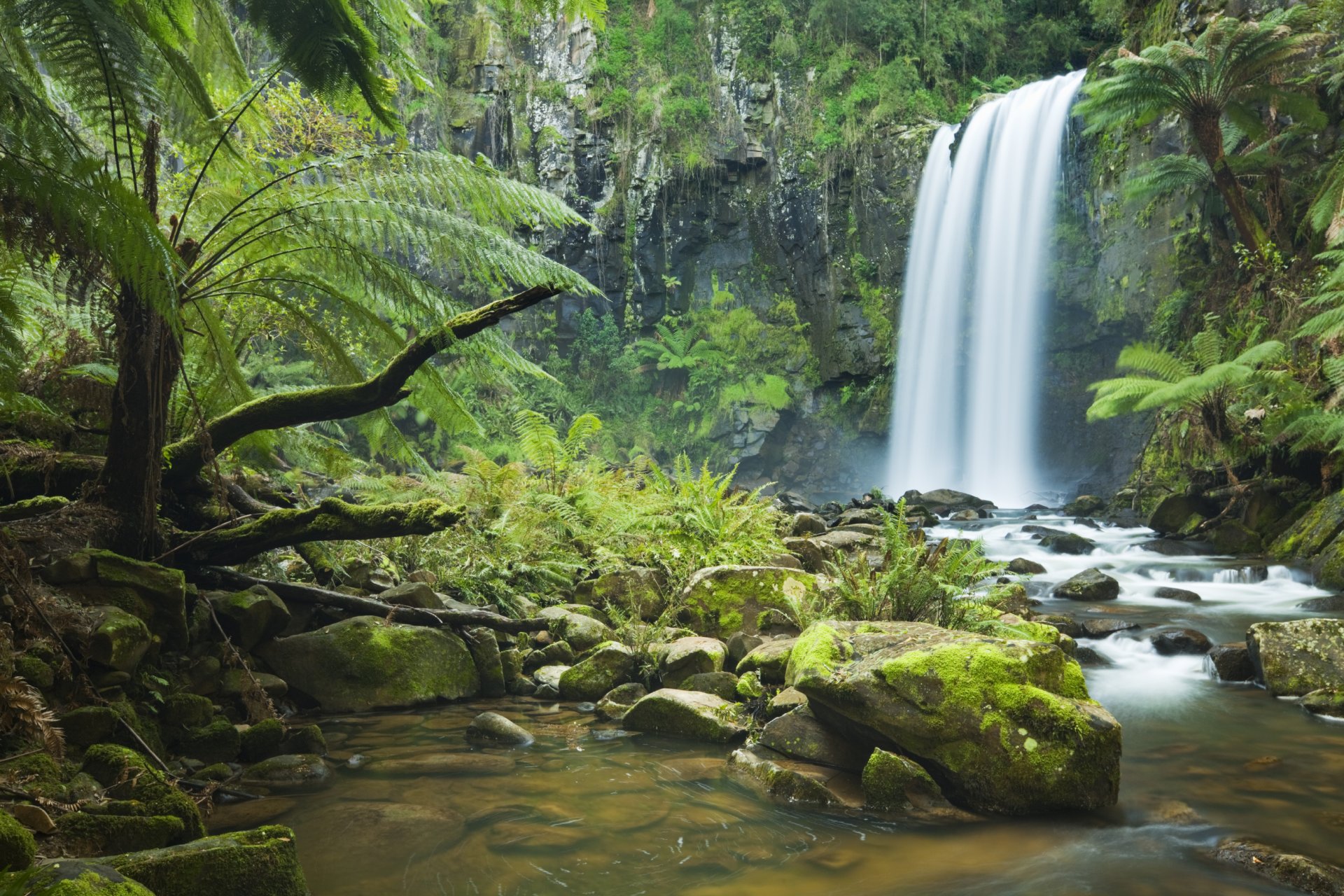 waterfall tree river forest rock stone