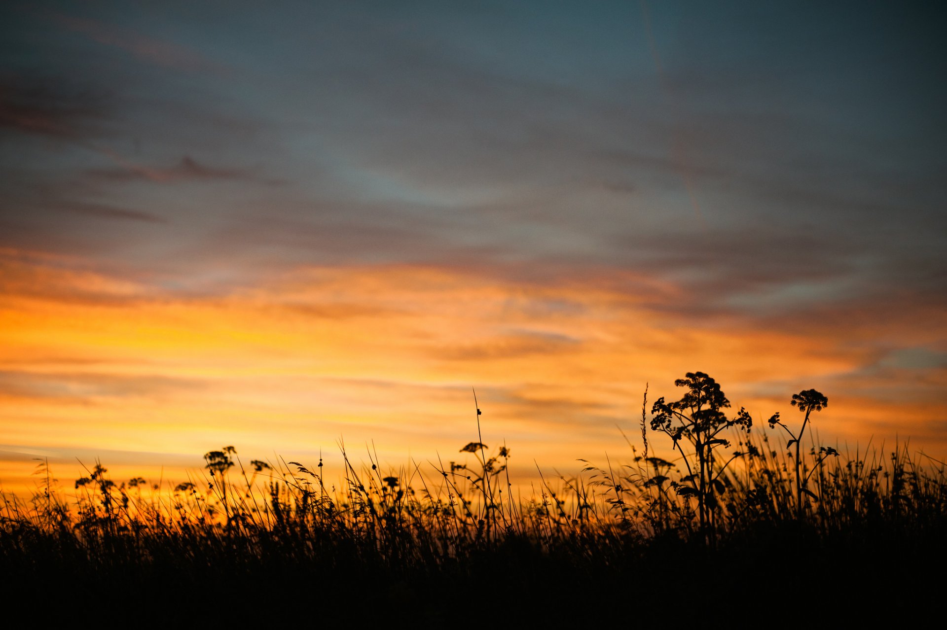 natura estate sera crepuscolo tramonto cielo erba