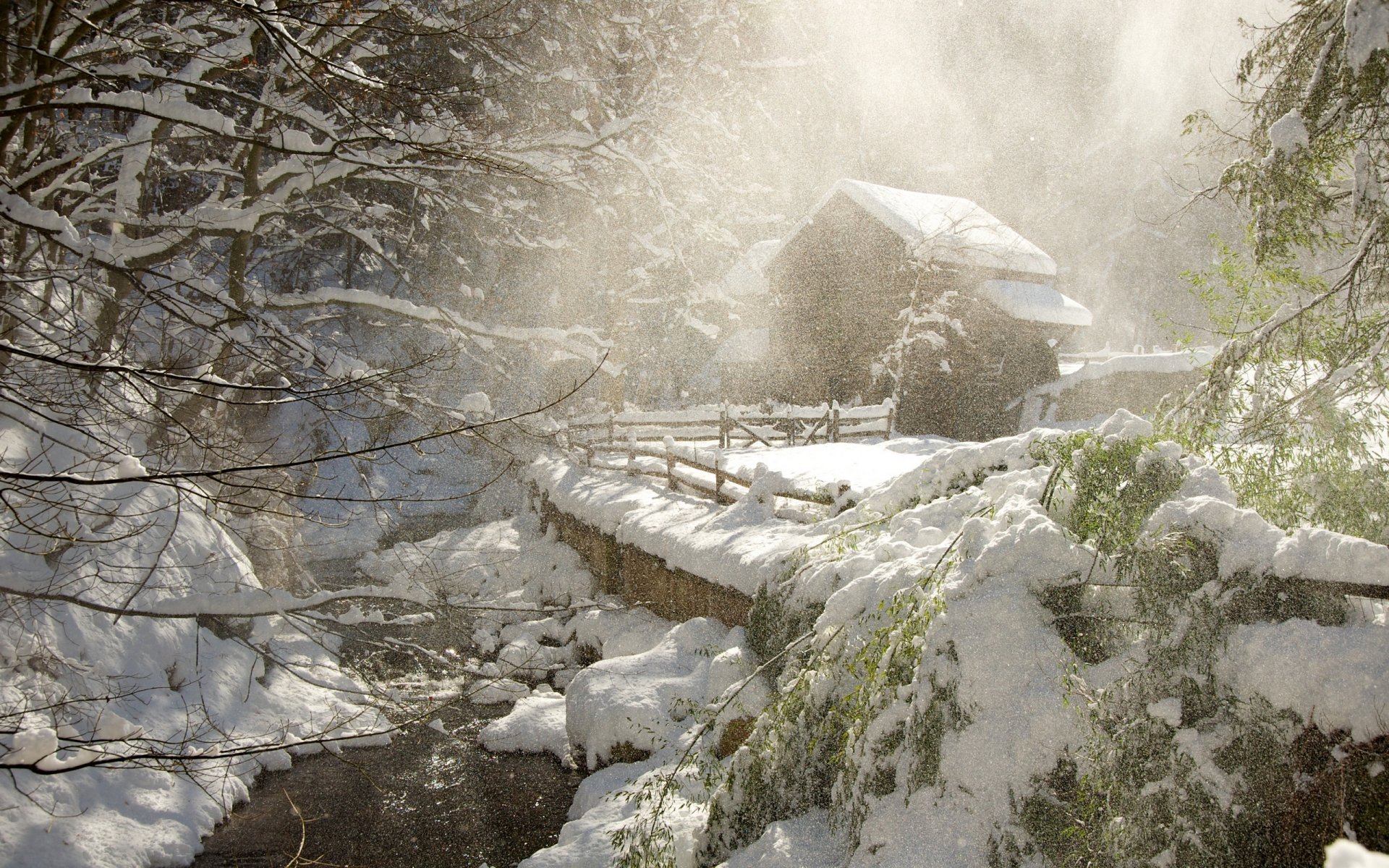 winter magic snow blizzard snowflakes house