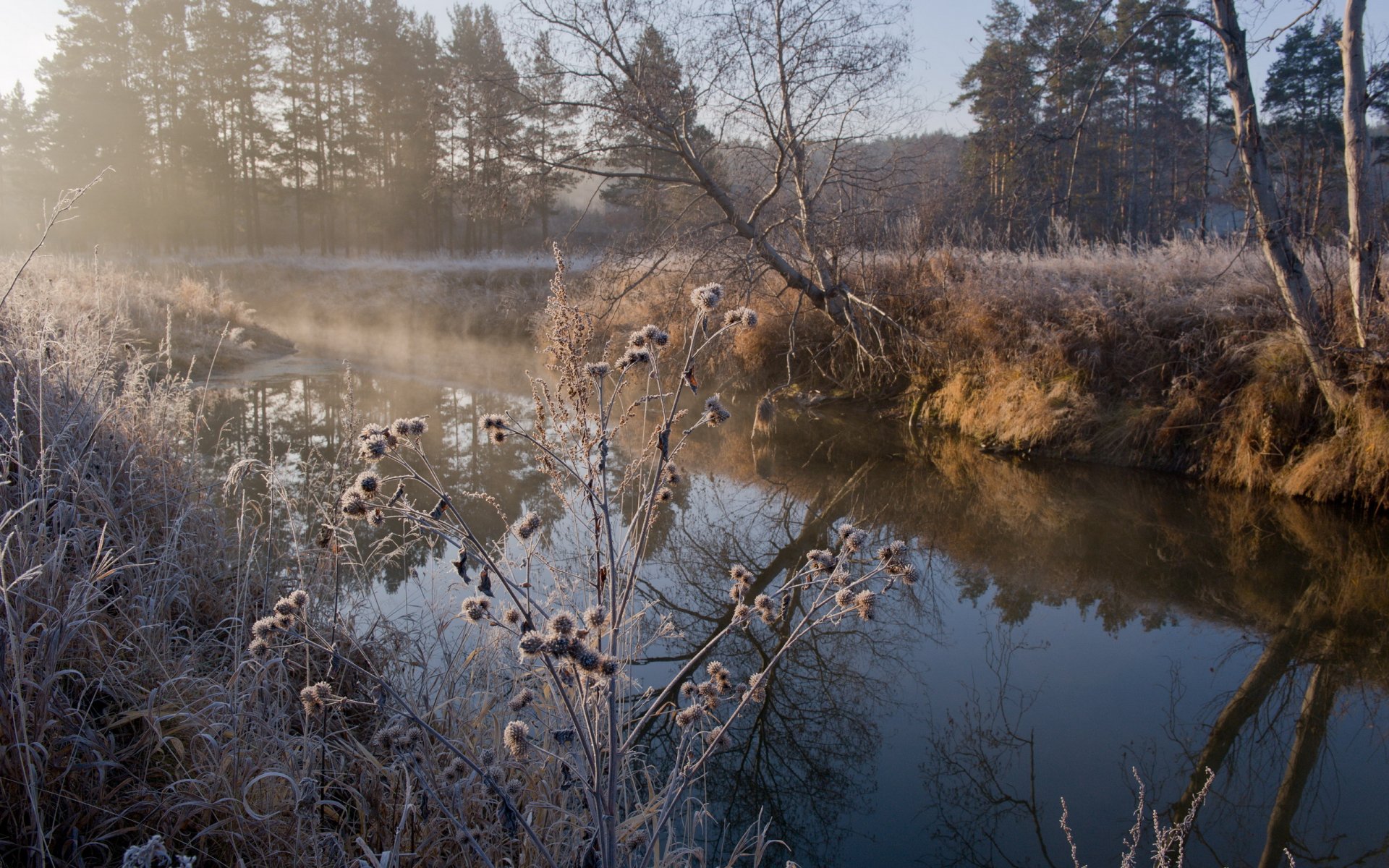 autunno fiume erba gelo