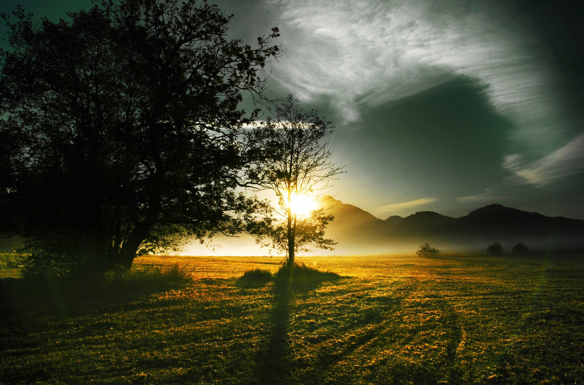 un rays sun tree hills fog morning focu