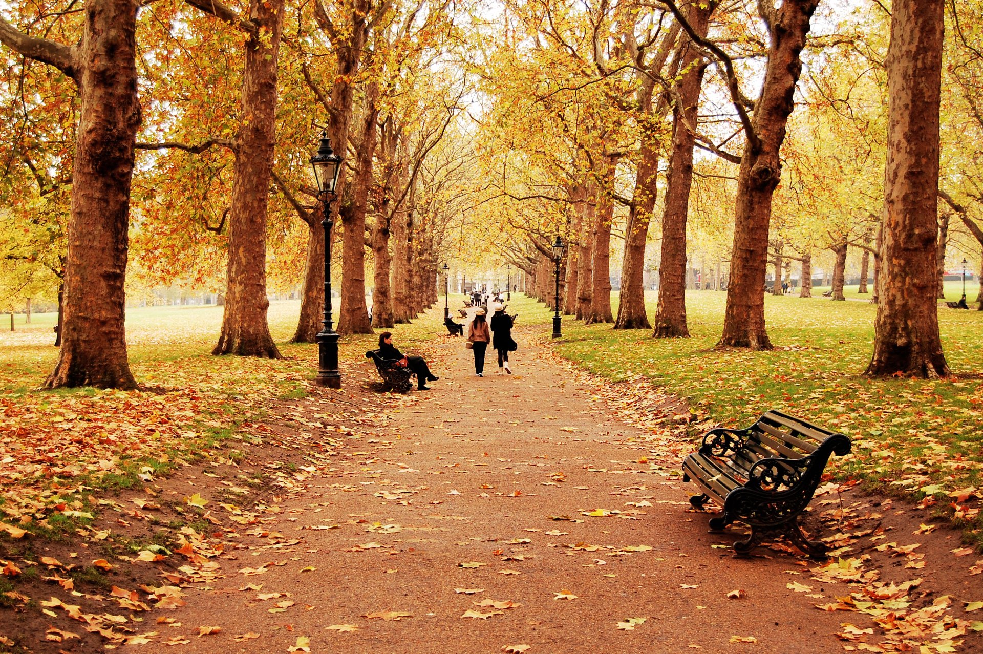 naturaleza paisaje otoño temporada árboles hojas caída de hojas banco personas hombre niños chicos niña camino camino paseo