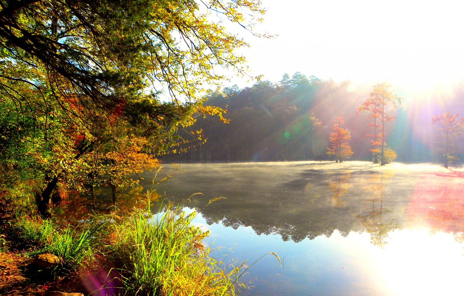 fiume riva foresta foschia mattina sole raggi natura