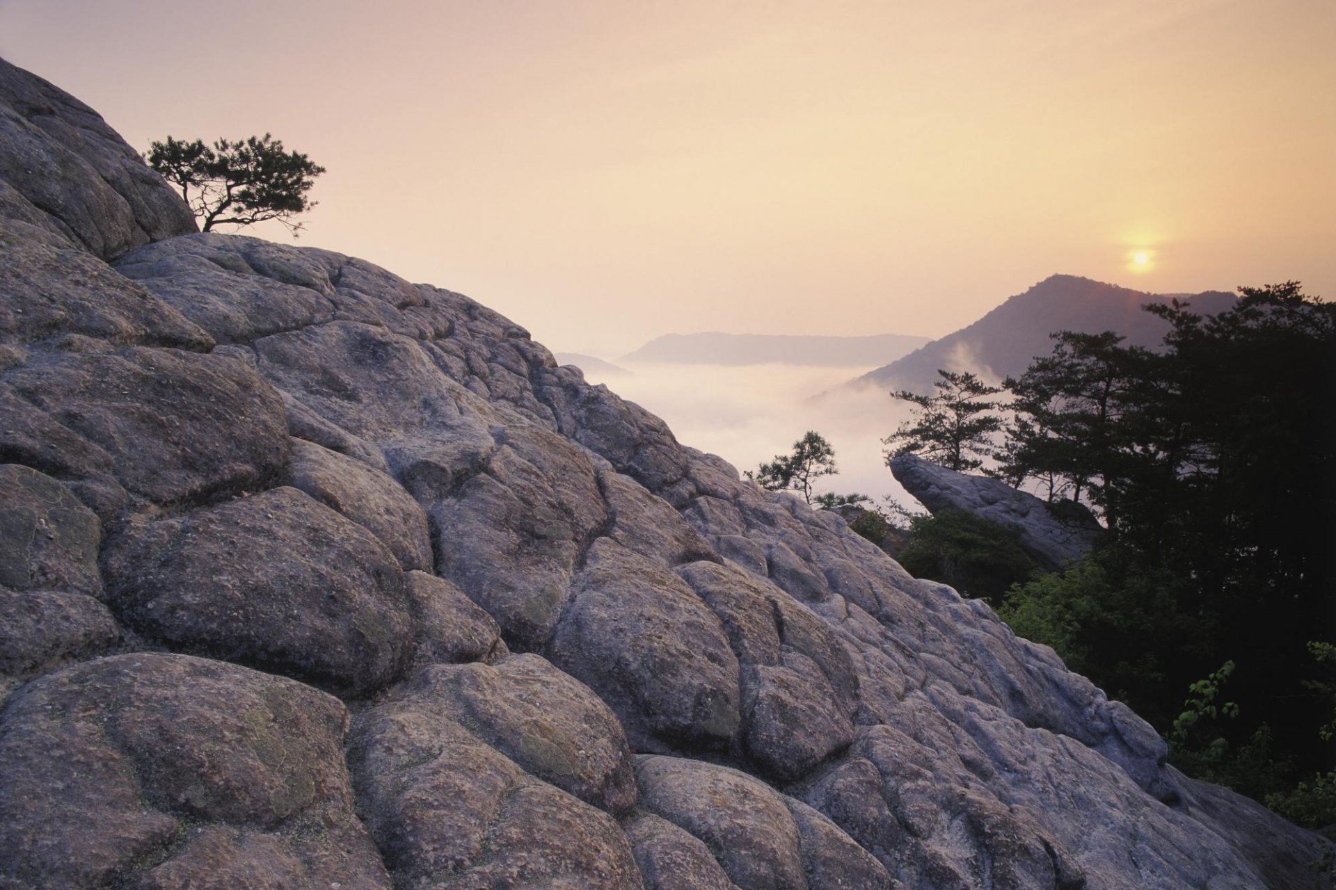 montagnes falaises coucher de soleil arbres brouillard altitude