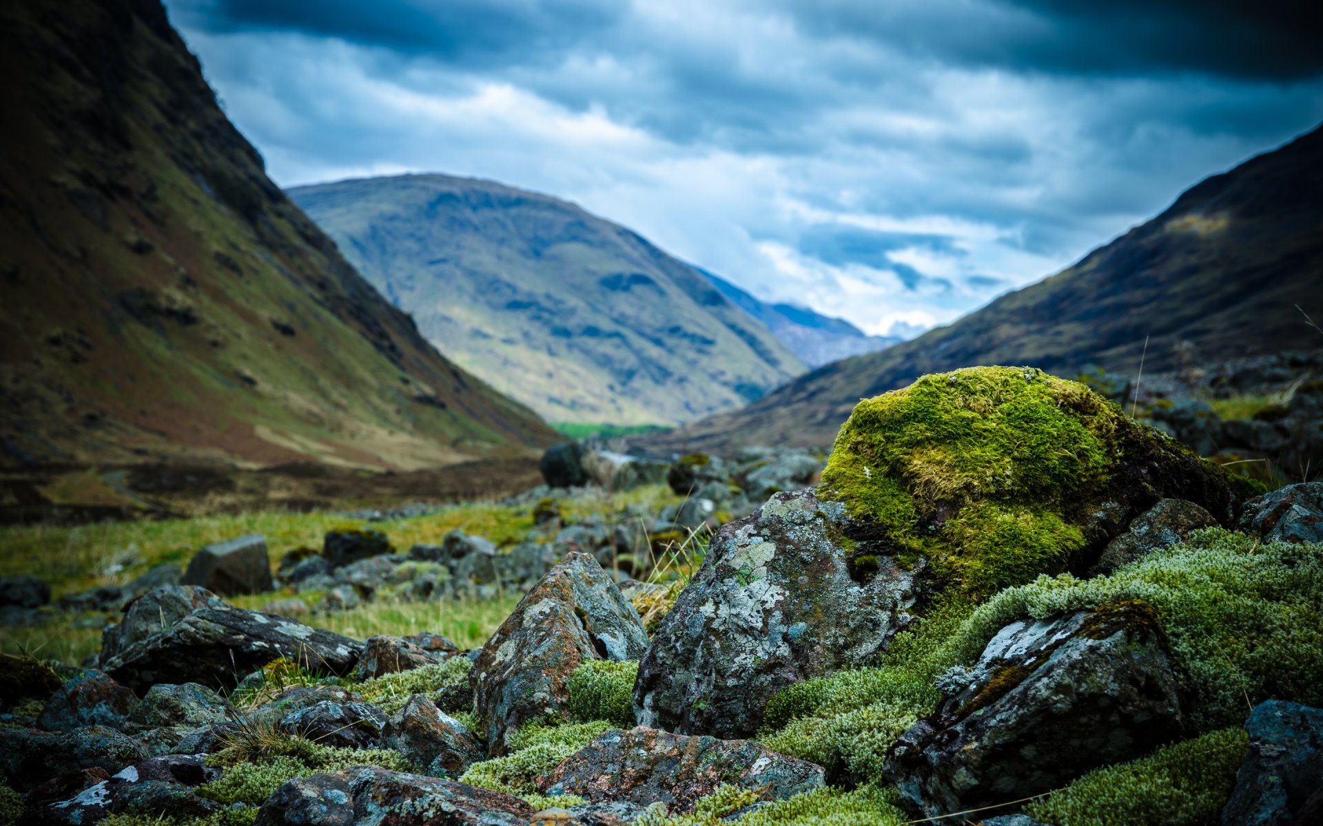 escocia montañas piedras musgo