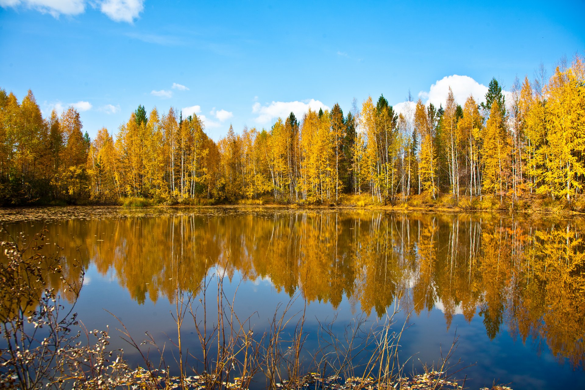 natur herbst wald himmel see