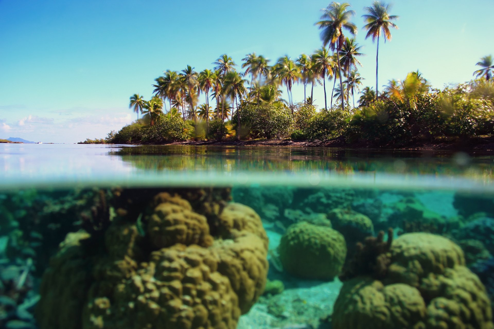 natura mare oceano sopra l acqua sotto l acqua palme cielo