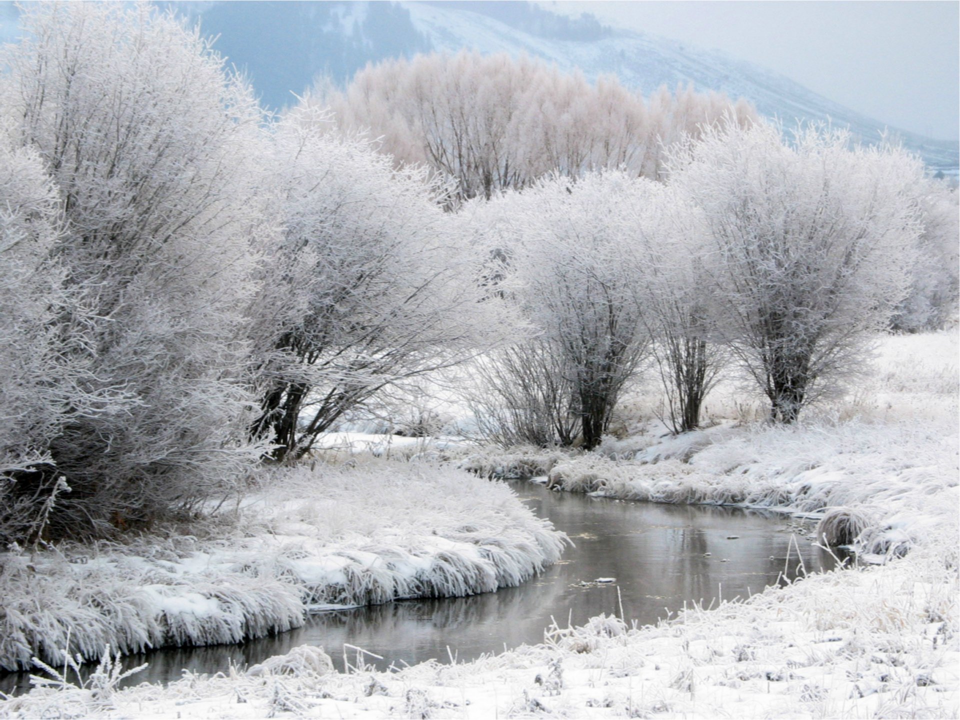 inverno neve gelo alberi ruscello montagne lontano nebbia