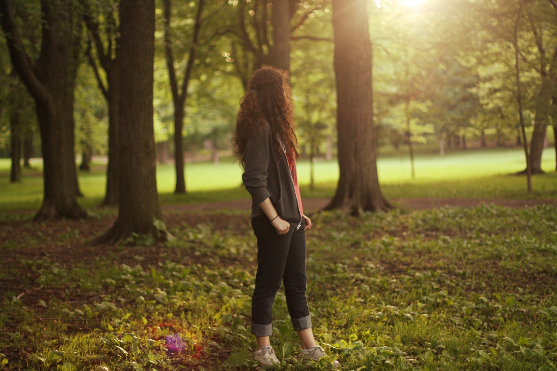 nature fille automne arbres feuilles herbe soleil beauté fond d écran fond d écran