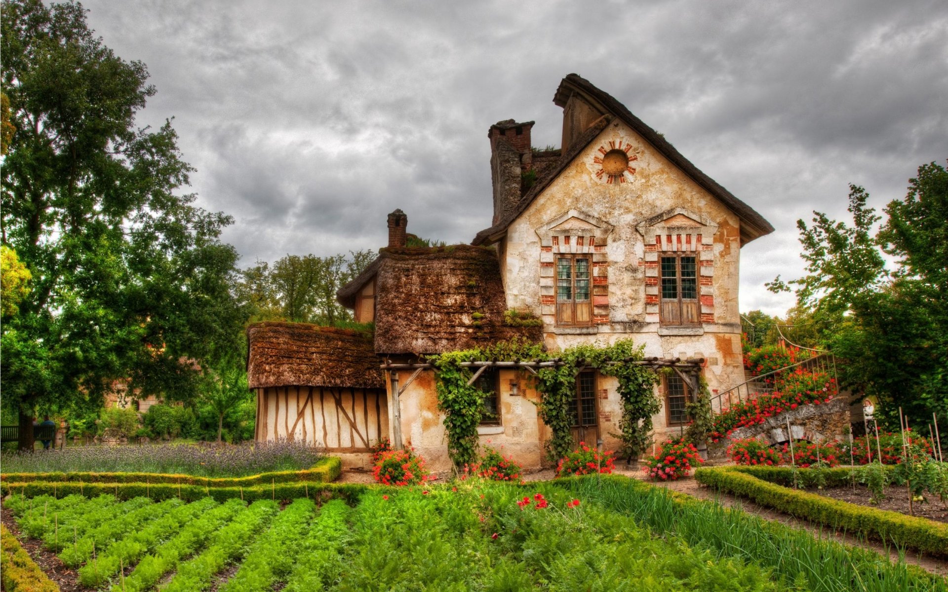 casa jardín flores