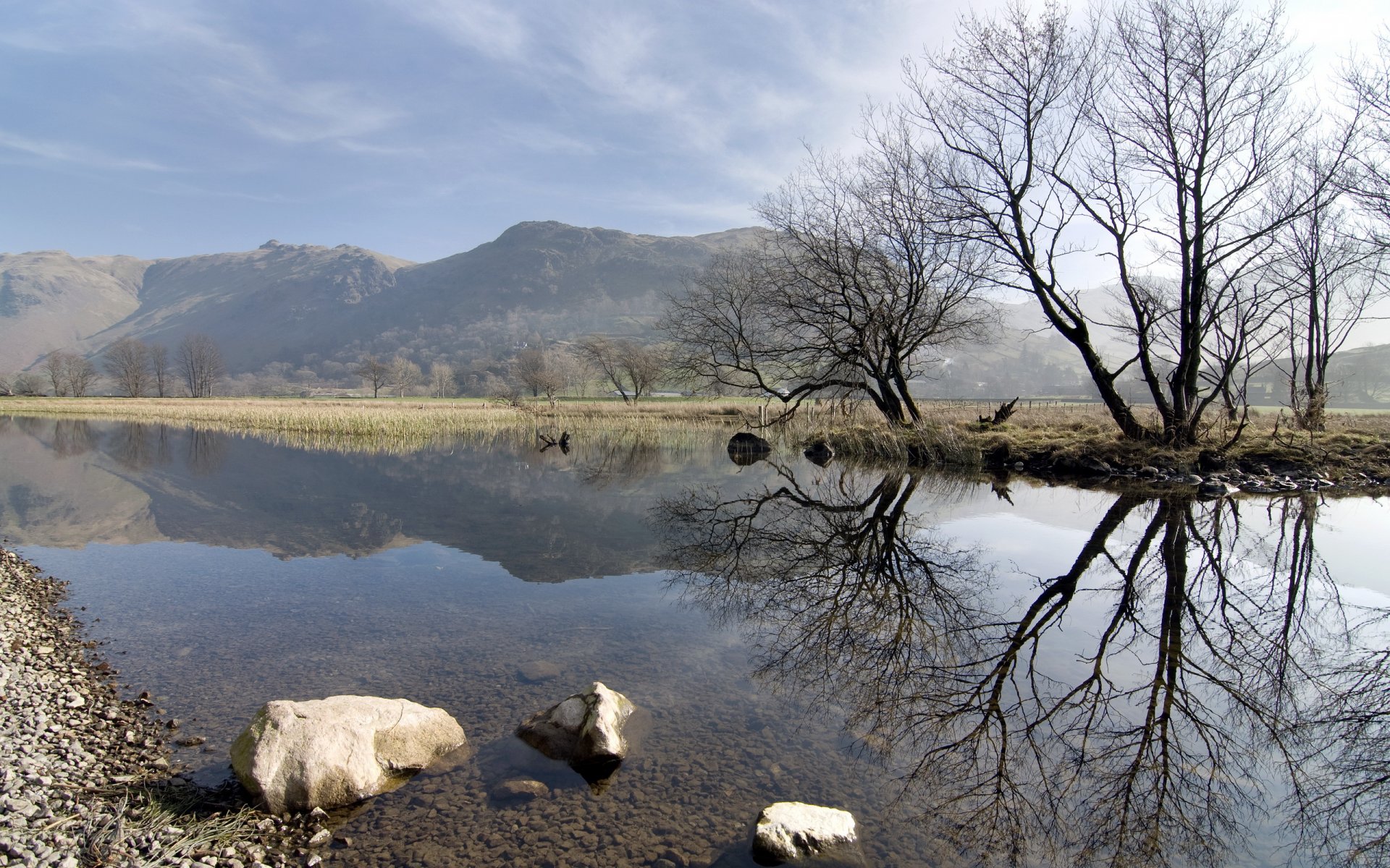 pring lake nature