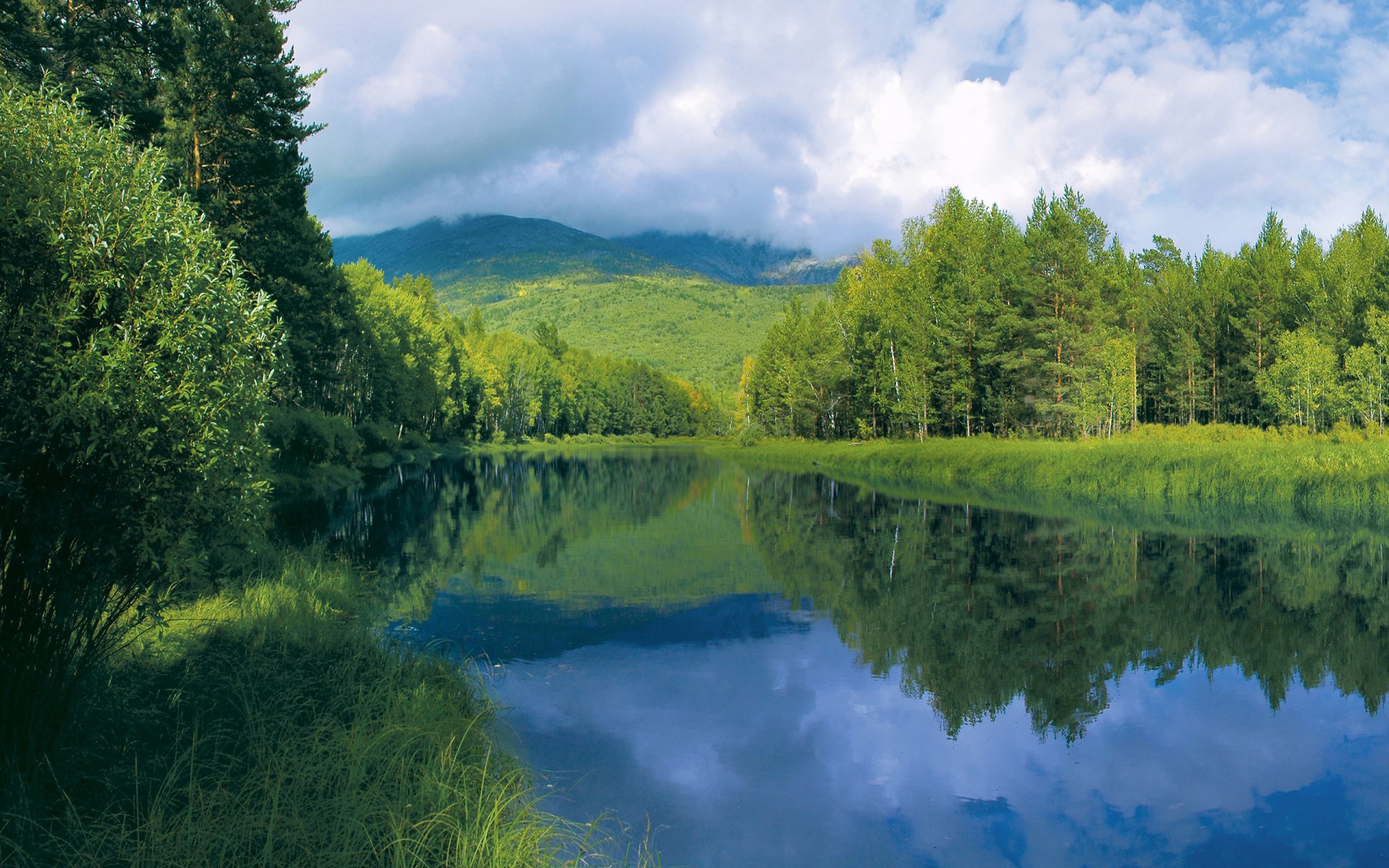 forêt arbres été côte herbe rivière eau surface collines ciel nuages réflexion