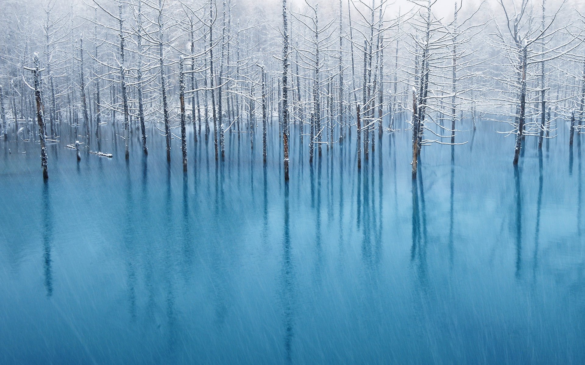 albero mela mac retina acqua