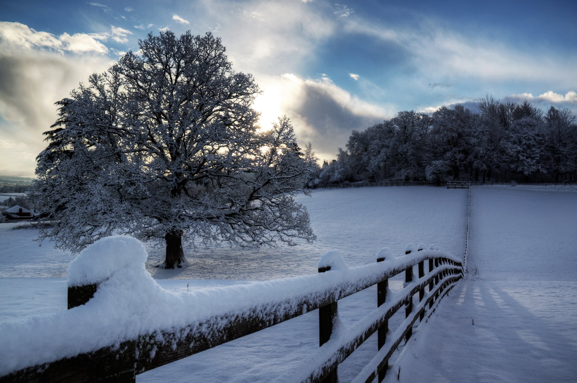 naturaleza invierno cerca nieve árbol árboles cielo nubes